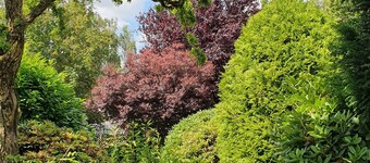 5-room house in a central location - the perfect feel-good oasis for up to 7 people