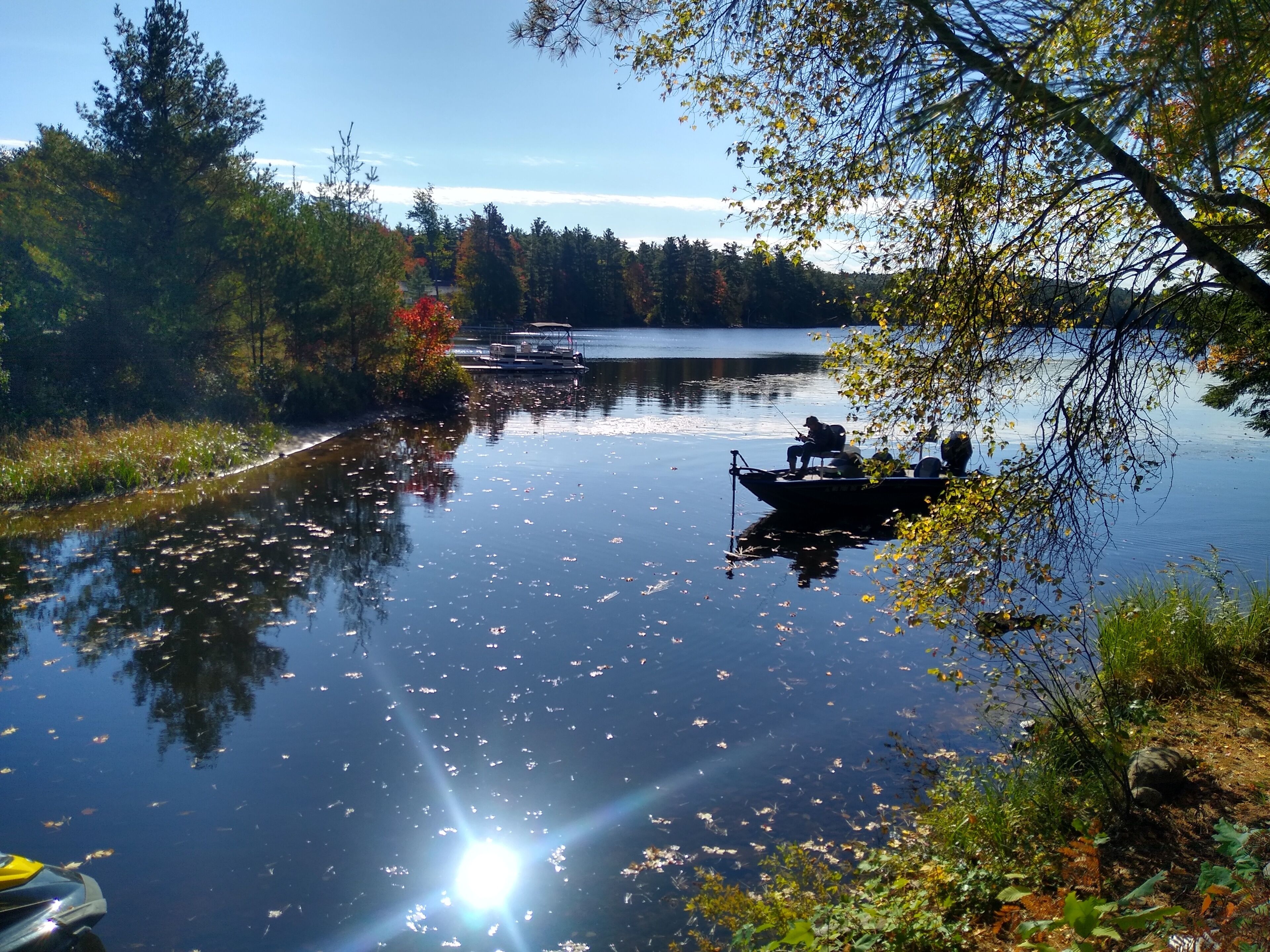 A calm lake with boats, surrounded by trees and vegetation.