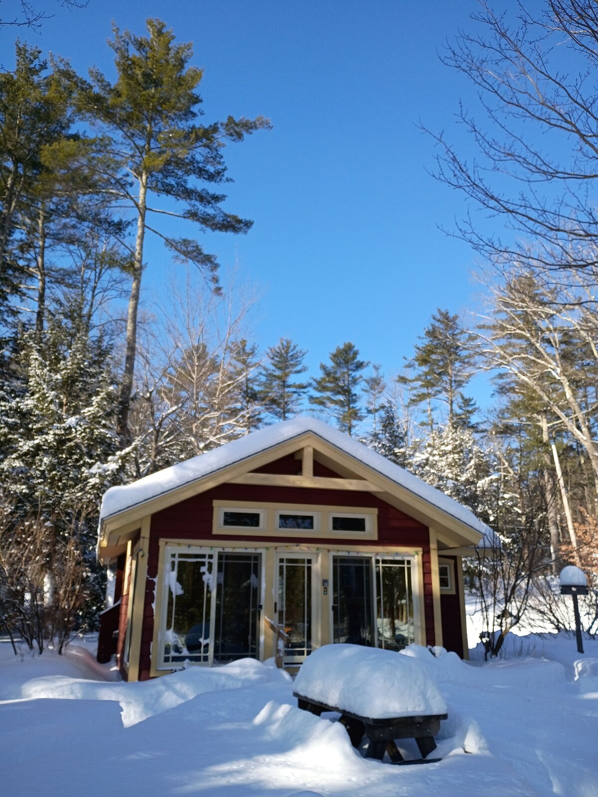 Bild für Gastgeberprofil