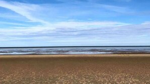 Ein Strand mit blauem Himmel und ruhiger See.