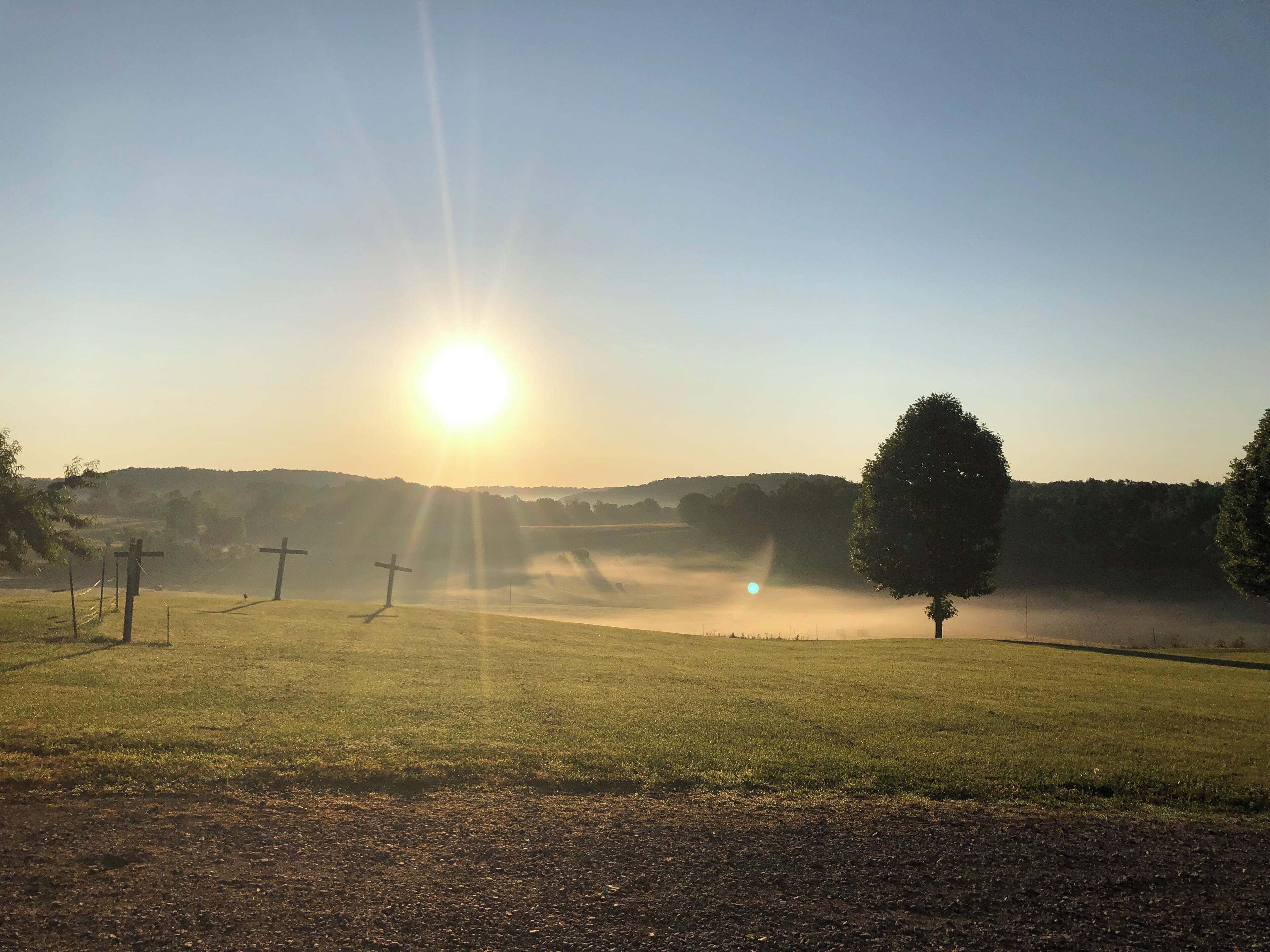Un lever de soleil sur un champ verdoyant, avec une croix et un arbre.