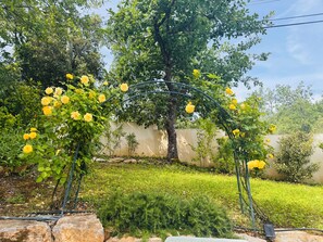 A garden with a pergola covered in yellow flowers, a large tree, and a grassy area.