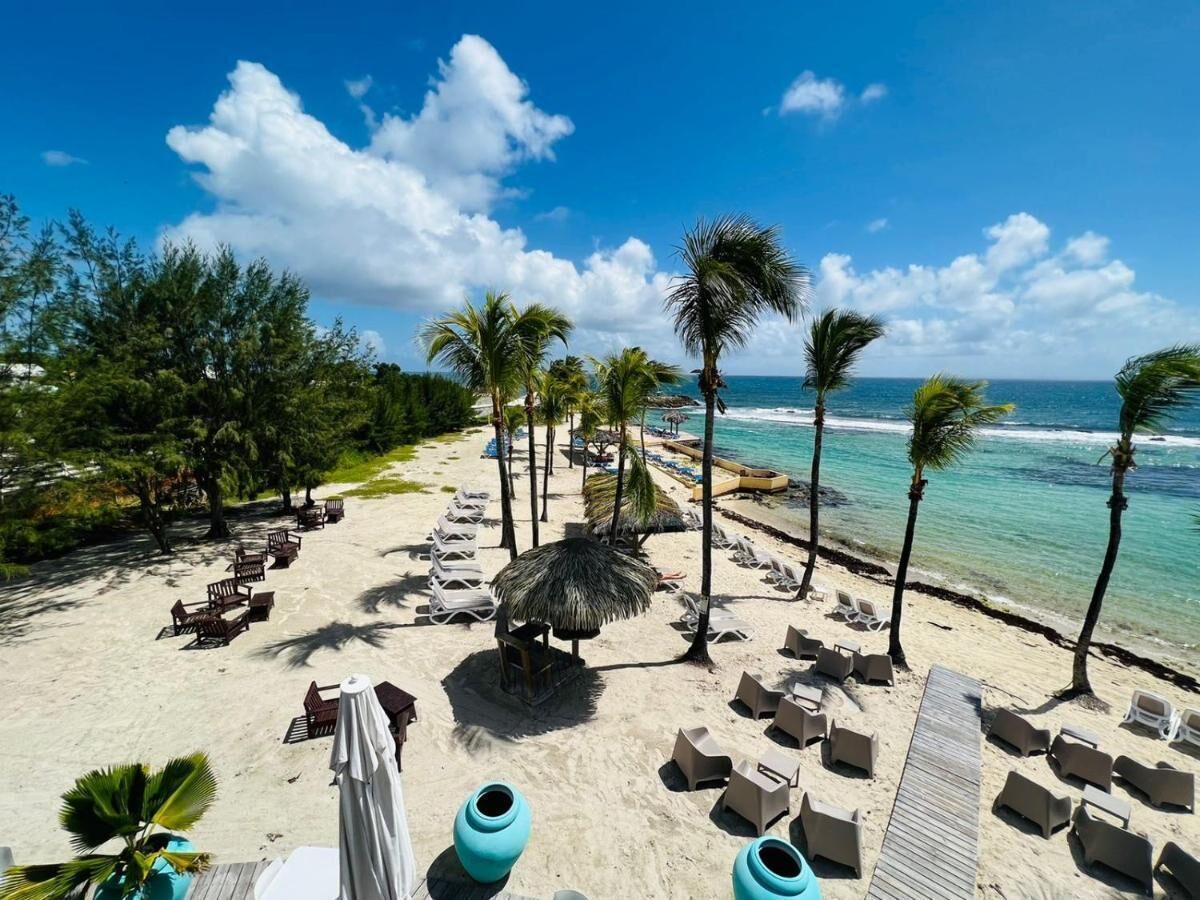 Plage, chaises longues
