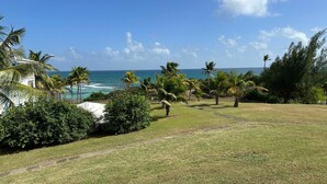 A grassy area with palm trees and a view of the ocean. - Sea view studio with water tank (Saint-François)