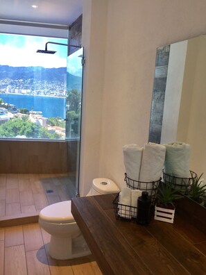 Shower, towels, soap, shampoo - Beautiful big house with spectacular view and 2 pools. Welcome!  (Acapulco de Juárez)