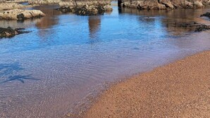 A natural landscape with a river, rocky formations, and a pebbly shore.