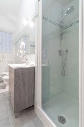 Shower, hair dryer, bidet, towels