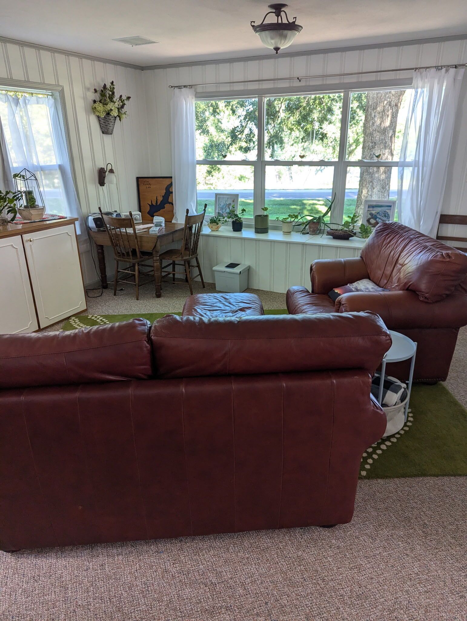 DVD player, books, video library