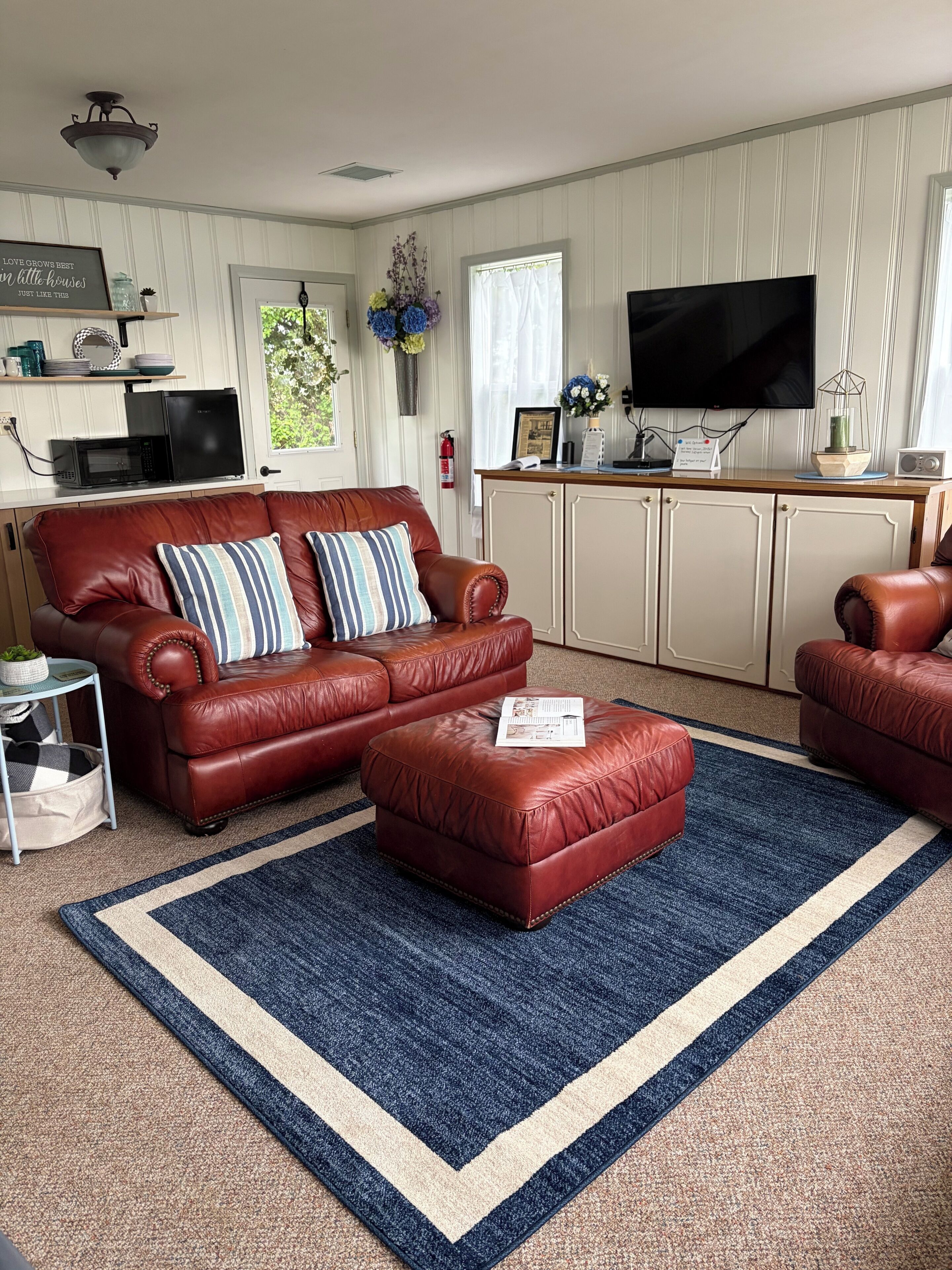 Smart TV, DVD player, books, video library