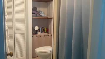 Chuveiro, secador de cabelo, toalhas de banho, sabonete