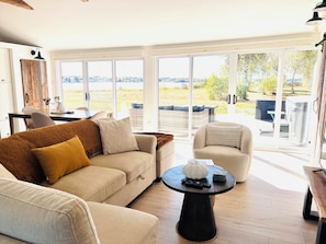 Smart TV, fireplace, books