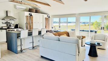 Smart TV, fireplace, books