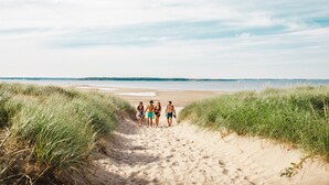 A sandy beach path with tall grass on either side, leading to the sea. - ✨ The Dream Cottage– Sea front w/ Hot Tub & Sunset Views - near Parlee Beach (Shediac)