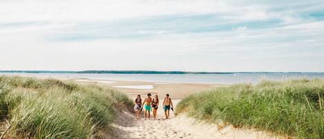 A sandy beach path with tall grass on either side, leading to the sea.