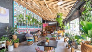 An indoor cafe with wooden ceiling, colorful walls, and multiple tables and chairs surrounded by potted plants. - La Paz & Love Hostel (Guadalajara)
