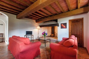 TV, fireplace