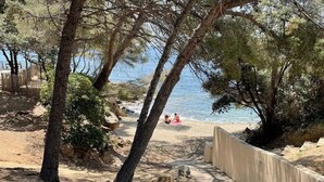 A beach path with trees, a concrete wall, and a sandy beach area. - METERS FROM THE MEDITERRANEAN AMID ST. TROPEZ & ST. MAXIM (Roquebrune-sur-Argens)