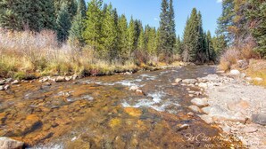 A clear stream flowing through a forested area with rocks and trees. - Budget Friendly Hotel Lock Off Steps from the Slopes (Breckenridge)