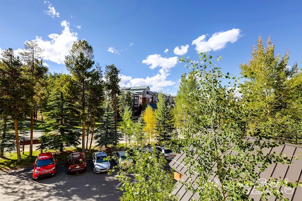 Guests can park their vehicles in the adjacent lot, surrounded by lush greenery and tall trees.