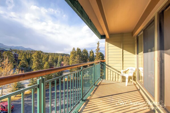 Property grounds - Ideal Breck Location, Mountain Views, Wi-Fi, Garage Parking TE405 (Breckenridge)