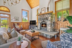 Smart TV, lareira, livros, escritórios