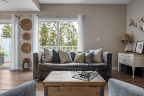 TV connectée, cheminée, chaîne hi-fi
