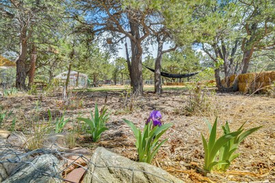 Mystical Crestone Home Near Great Sand Dunes!