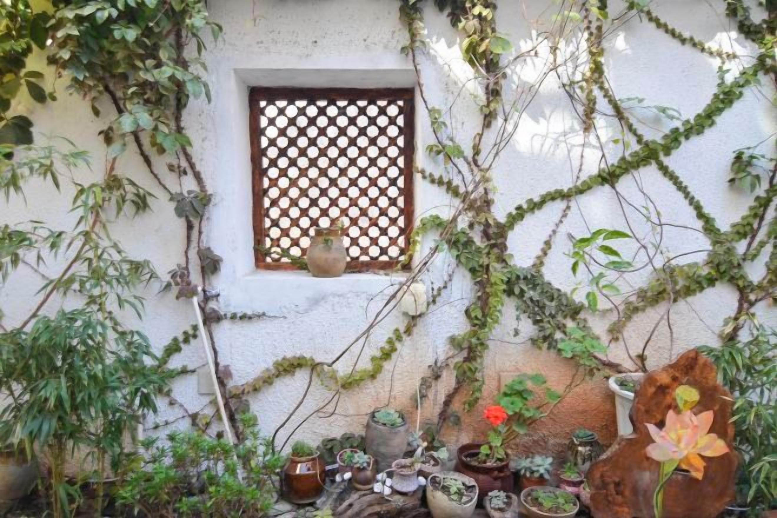 Un jardin agrémenté de plantes en pot et une fenêtre ornée d’un motif en treillis.