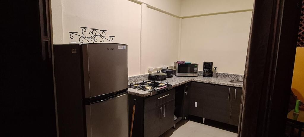 Cocina compacta con refrigerador, microondas, estufa y armarios oscuros.