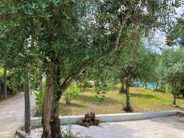 Property grounds - Relax, swim and unwind at this Portuguese house 5 minutes from Sertã, Portugal. (Sertã)