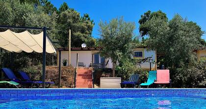 Relax, swim and unwind at this Portuguese house 5 minutes from Sertã, Portugal.