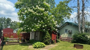 Ein Garten mit einer Holzdiele, einem roten Schuppen und einem Haus mit grüner Dachbegrünung.