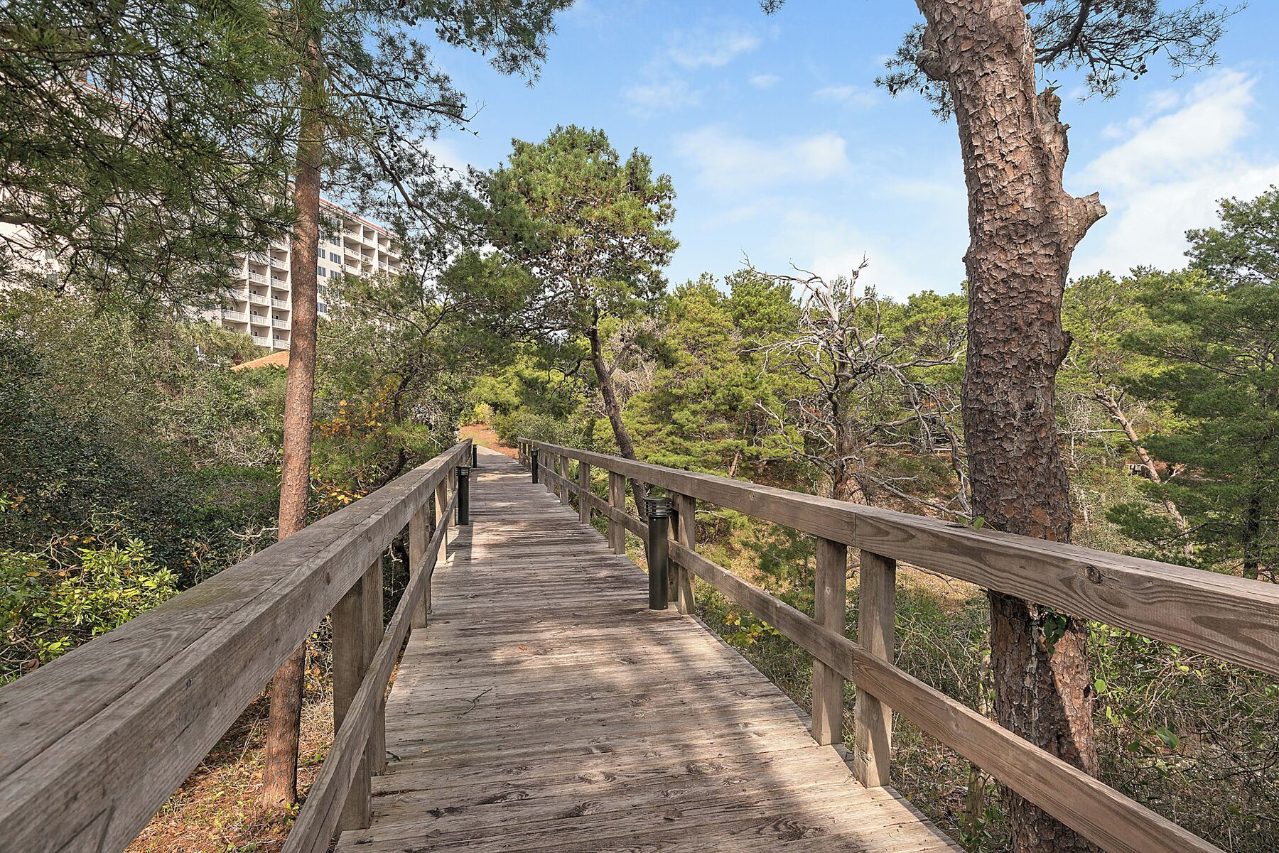 En træpromenade gennem et skovområde med træer og en bygning i baggrunden.
