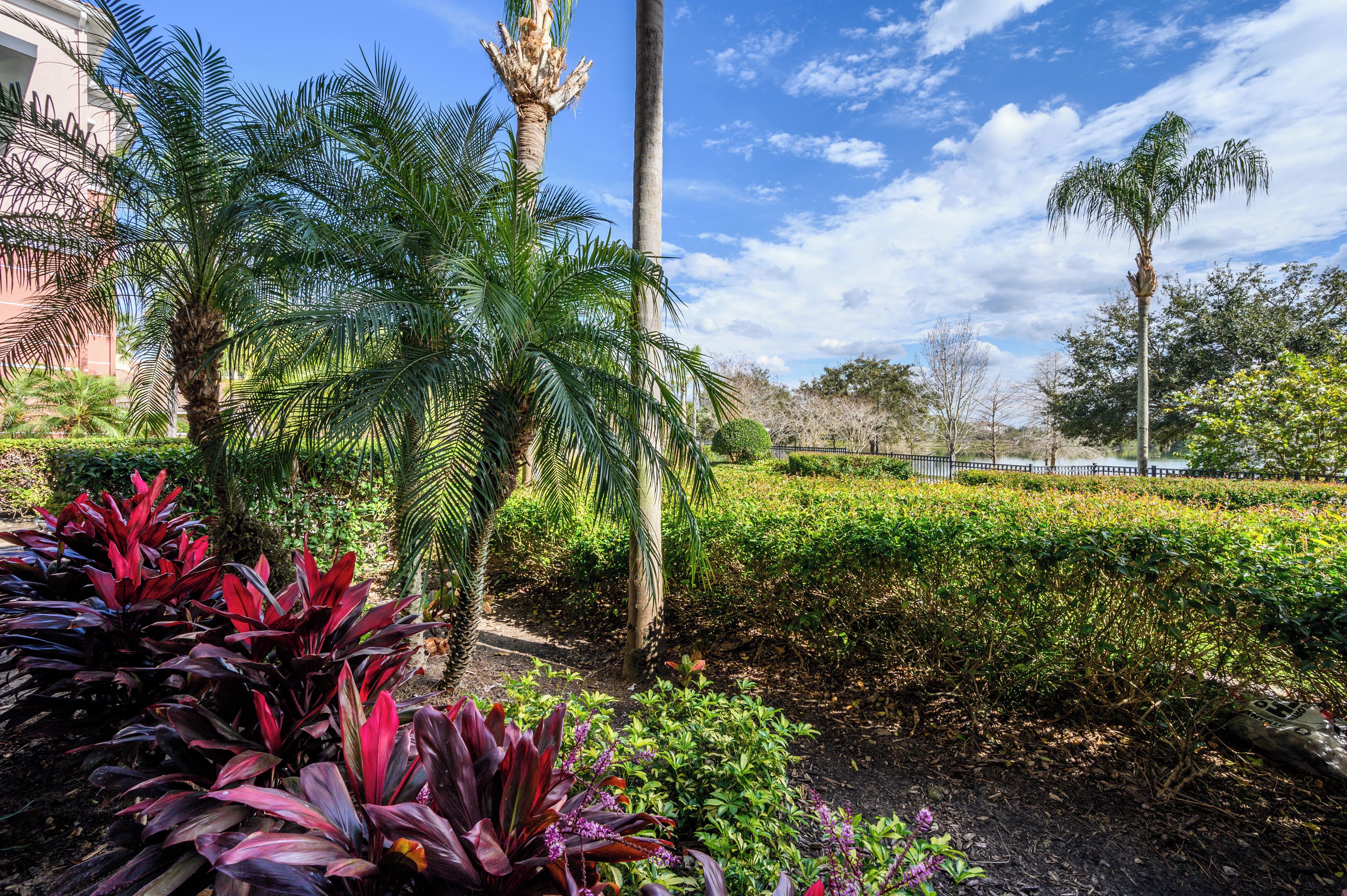 A landscaped garden with palm trees, a variety of plants, and a pathway.