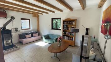 Cheminée, livres, vidéothÚque