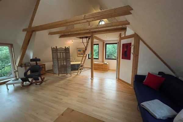 Fireplace, books, video library