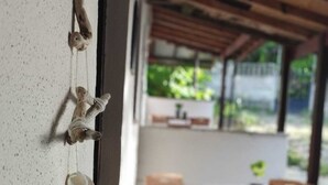 Une pièce avec un plafond en bois, un mur blanc orné d’un objet décoratif suspendu et une vue sur un jardin par la fenêtre.