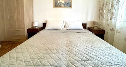 Apartment Silvana 1 close to the city centre