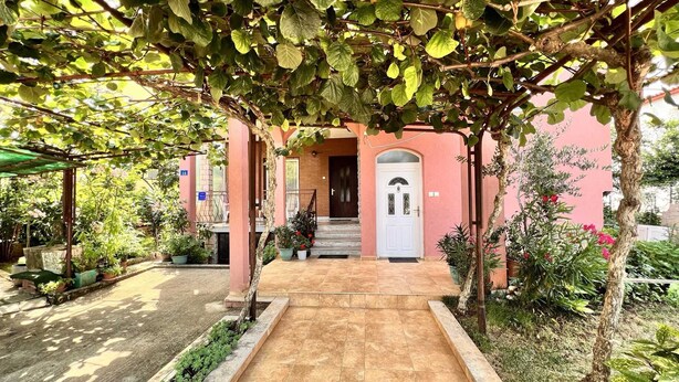 A building entrance with a tiled pathway leading to a white door, surrounded by greenery and potted plants.