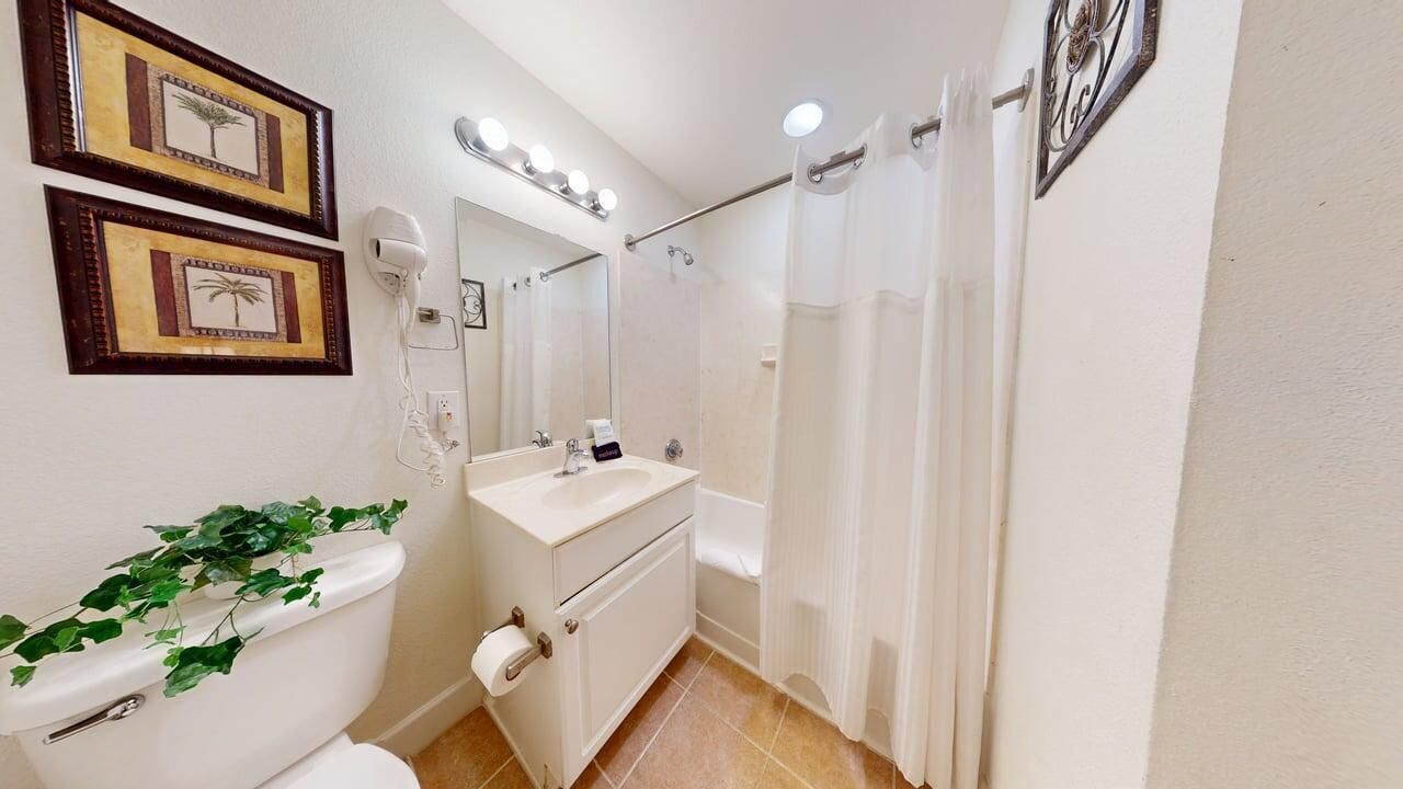 Ein Badezimmer mit Toilette, Waschbecken, Spiegel und Duschvorhang.