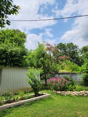 Property grounds - Charming 2-bedroom house with WiFi and AC in fabulous Austin (Austin)
