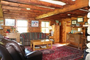 TV, fireplace, foosball