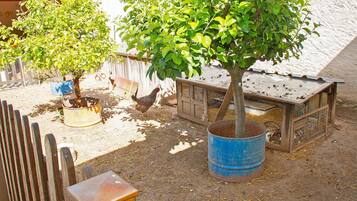 A fenced outdoor area with a tree, a chicken coop, and a blue barrel.