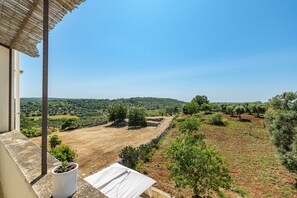Land view from property