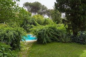 Un giardino con piscina, circondato da fitta vegetazione e un vialetto in pietra.