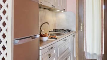Fridge, stovetop, cookware/dishes/utensils