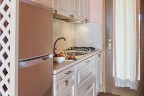 Fridge, stovetop, cookware/dishes/utensils