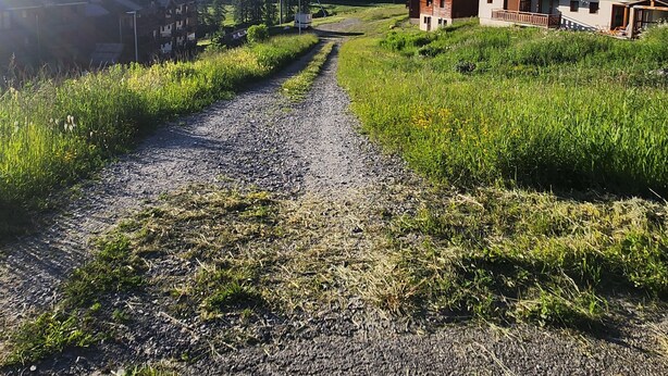 Un sendero de grava que lleva a una construcción de madera con balcones, rodeada de follaje y montañas.