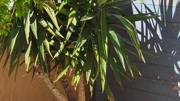 DĂ©tail de lâextĂ©rieur