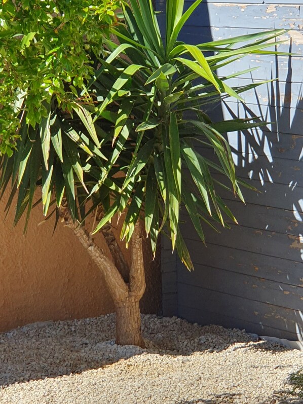 Exterior detail - Charming studio with terrace and pool. For two people. Dog accepted. (Pierrelatte)